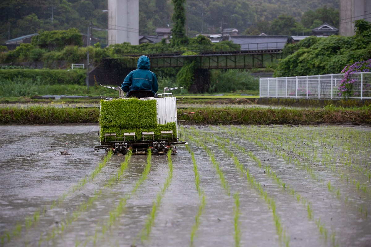 With the blessings of rain.