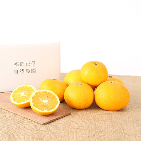 はっさく | 果物 | 福岡正信自然農園 official site