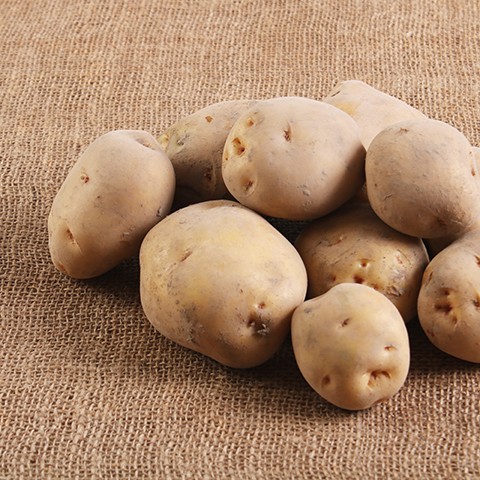 じゃがいも 先行受付】徳之島 天城町産 赤土ばれいしょ 新じゃが 春一番