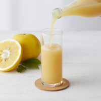 「希少・限定」 河内晩柑ジュース ─ 1本