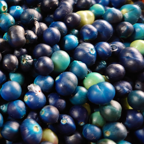 60733da7d645c1c54ee0d85412dfbc