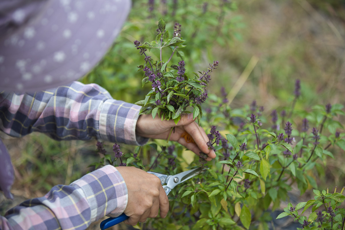 AutumnCampaignのお知らせ