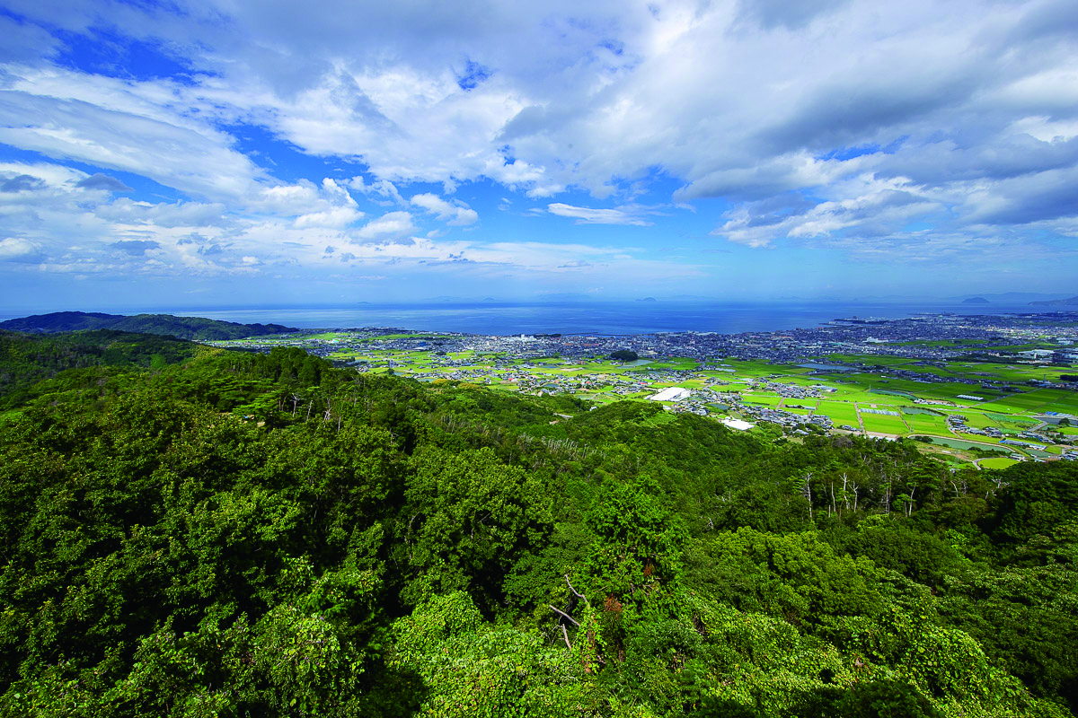 ［冷凍］氷菓（和三盆・吉野本葛 香る和のエッセンス）