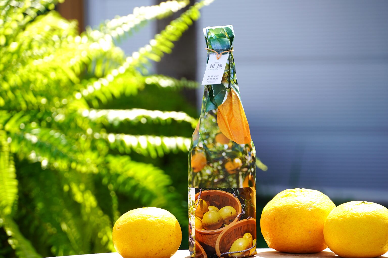 昔なつかしい 柑橘ミックスジュース2025