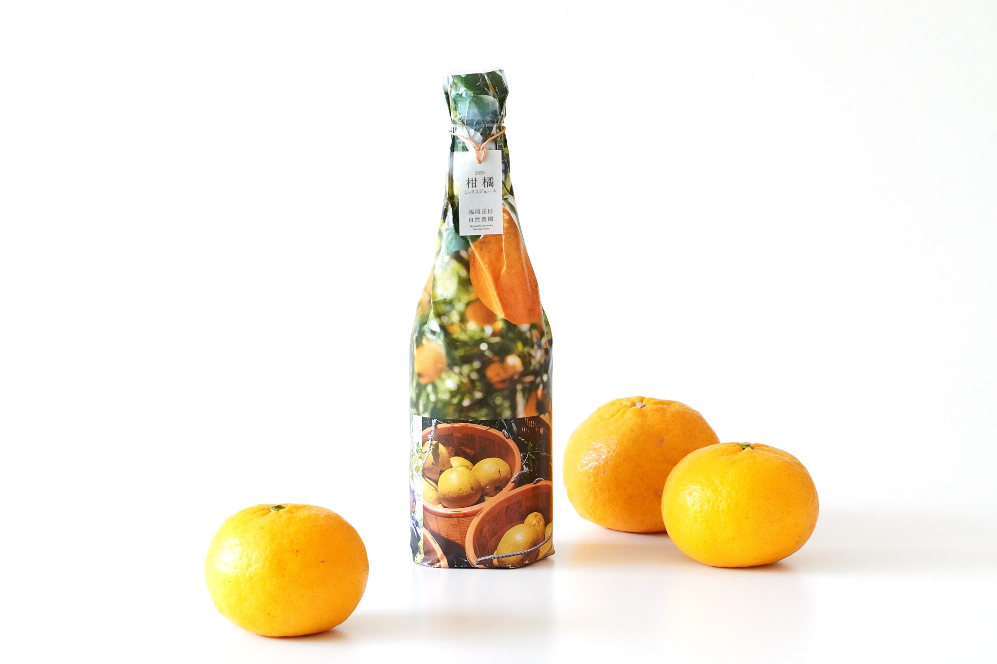 昔なつかしい 柑橘ミックスジュース2025 | 飲料・アルコール | 福岡