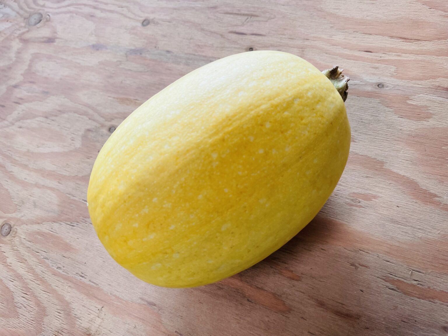 そうめんかぼちゃ