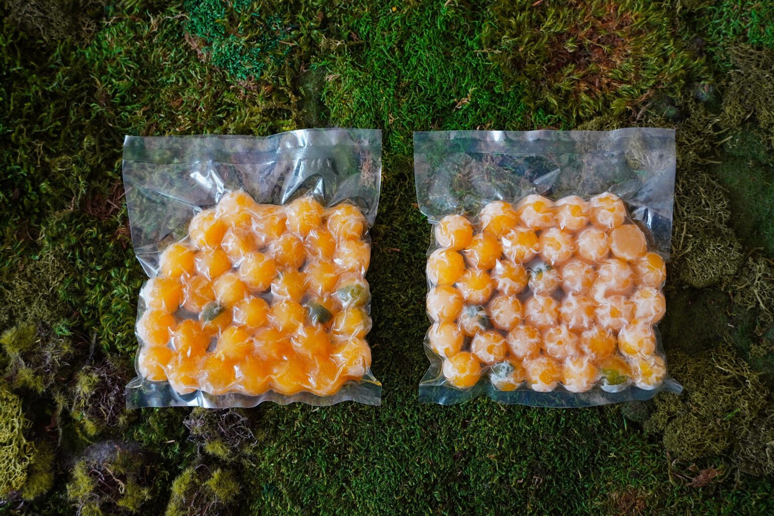 ［冷凍］柑橘のしずく