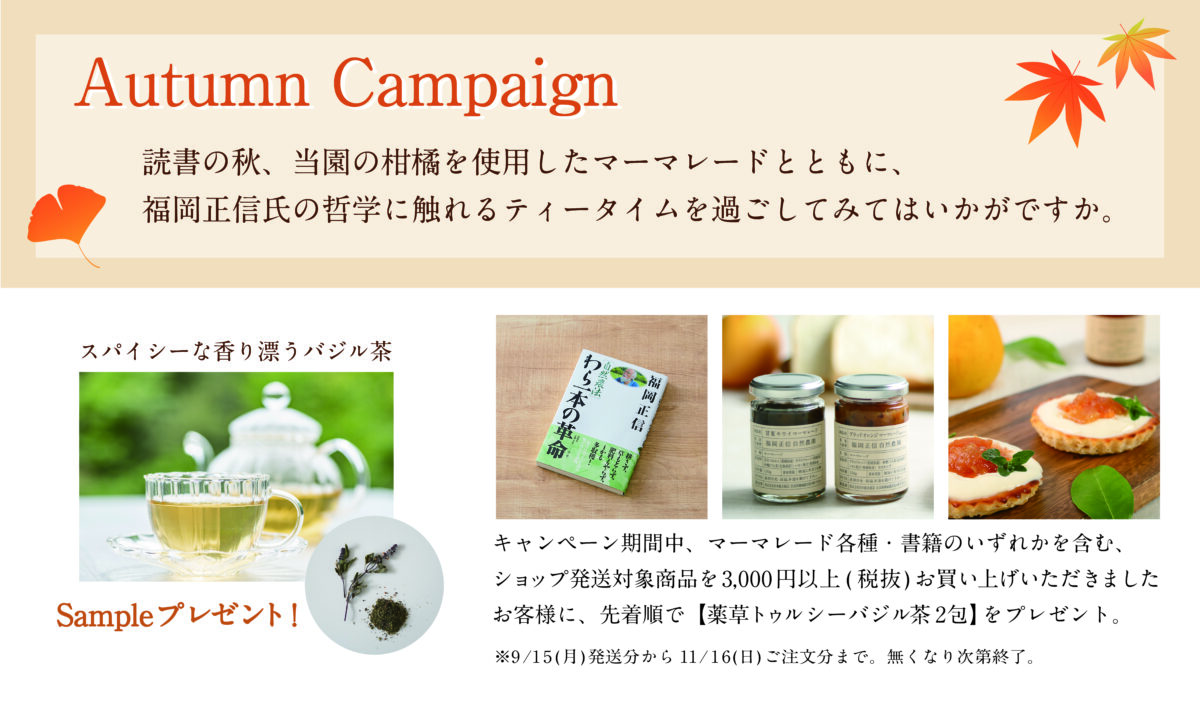 AutumnCampaignのお知らせ