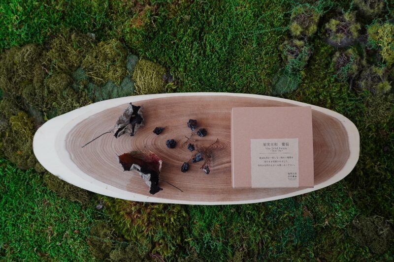 果実日和 枝付き葡萄