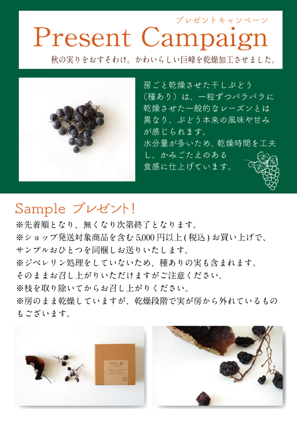 プレゼントキャンペーンのお知らせ