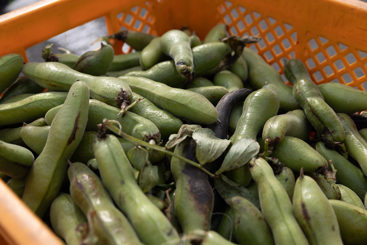 玉ねぎとバジルのカレースープ