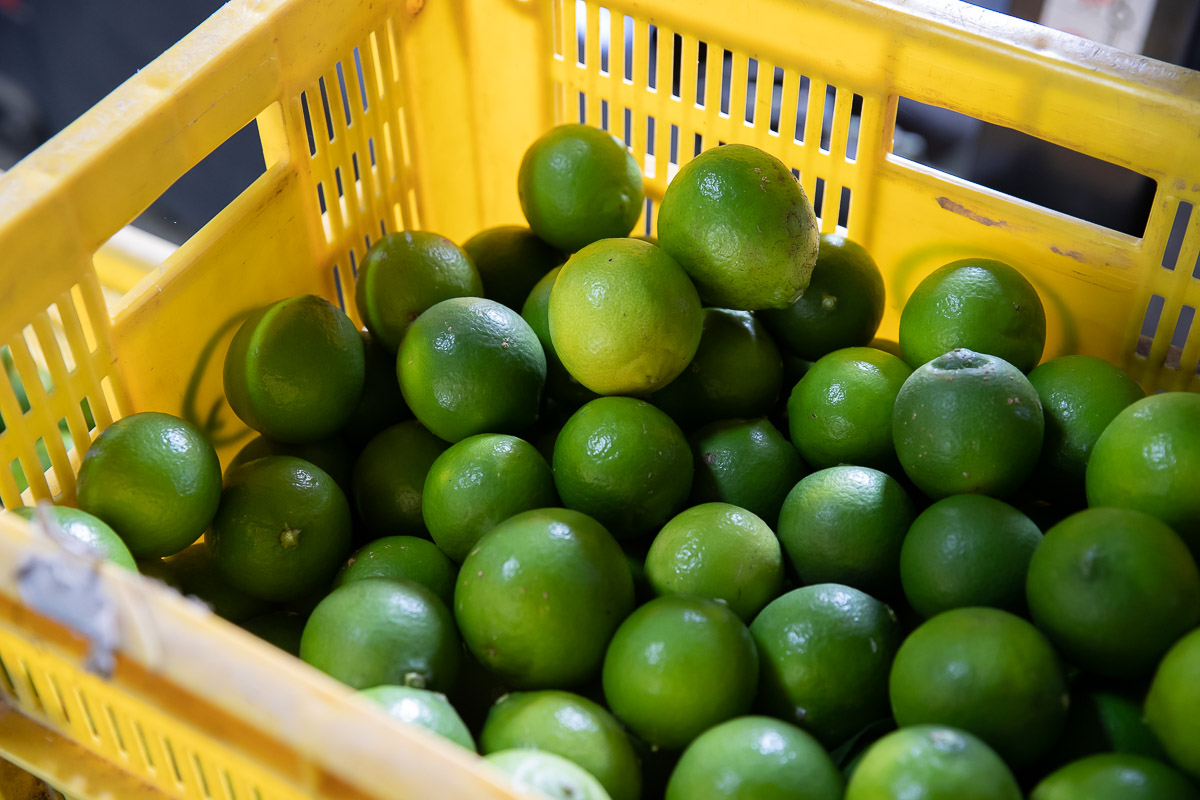 【限定】希少なライム果汁