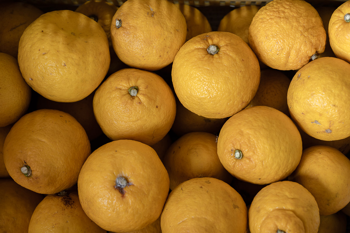 サザンイエロー