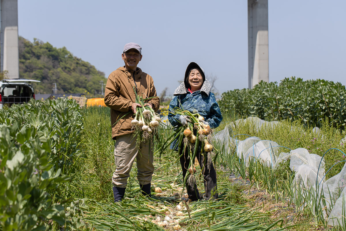 旬真っ盛り！スナップエンドウと葉玉ねぎ