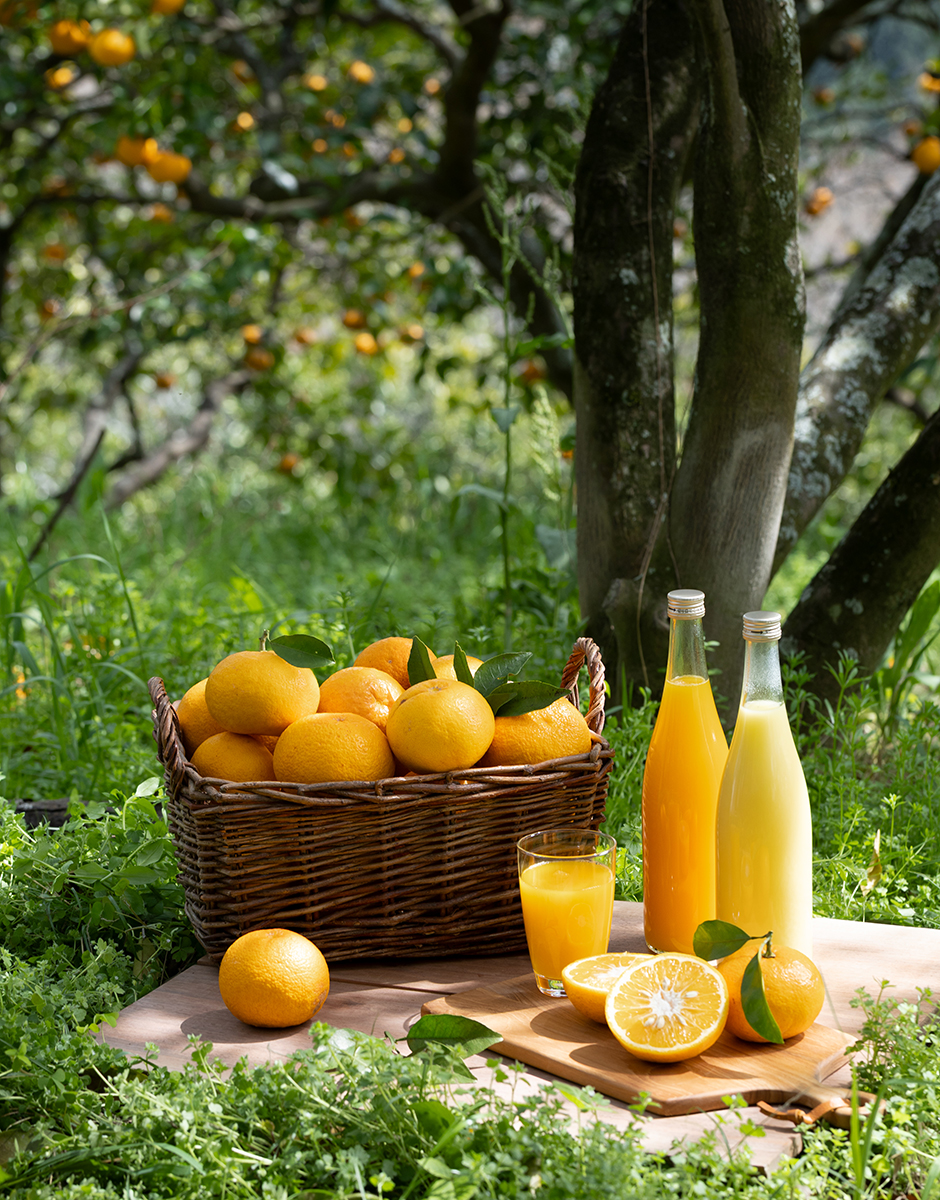 サザンイエロージュース