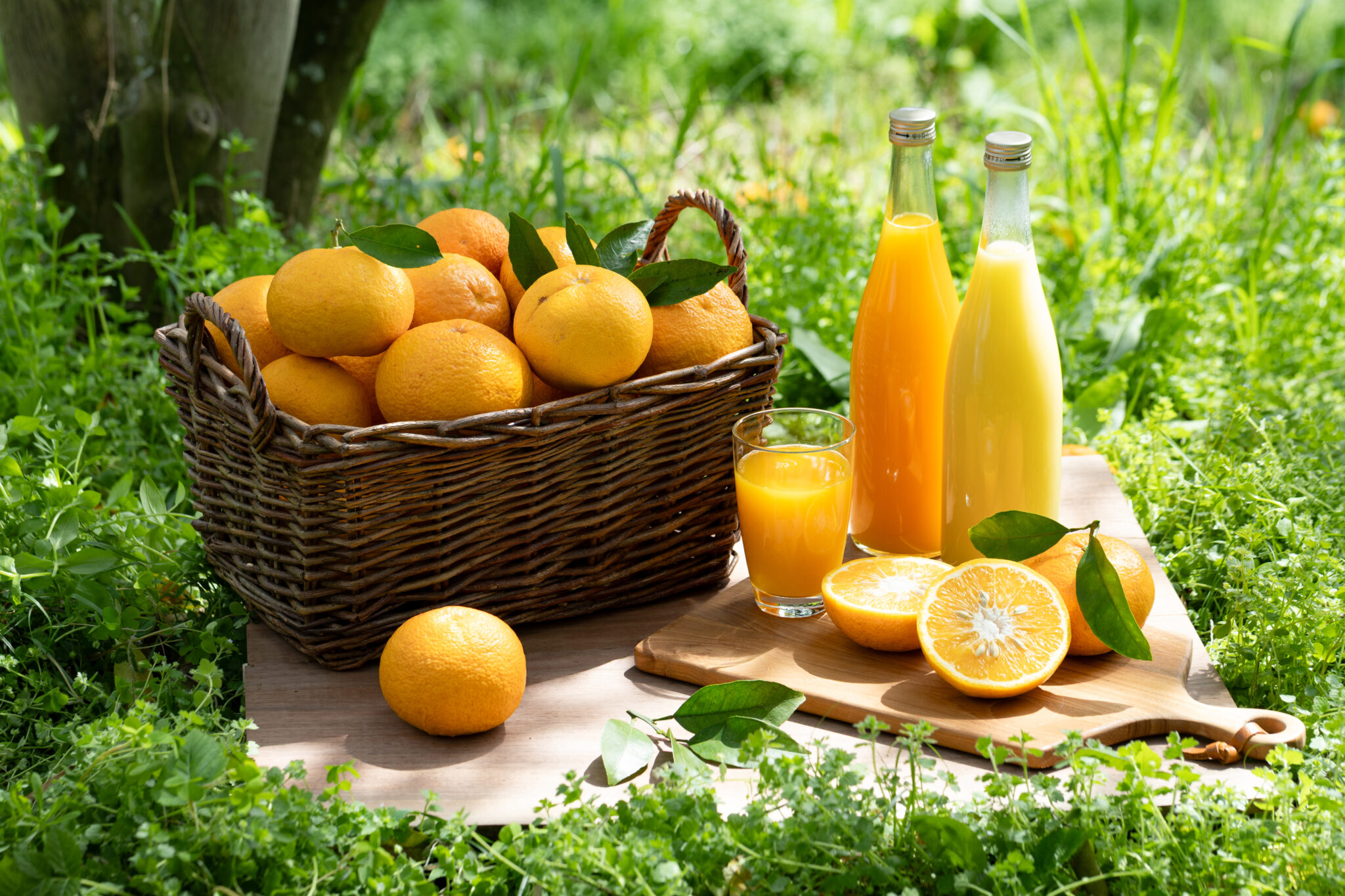 はるみジュース