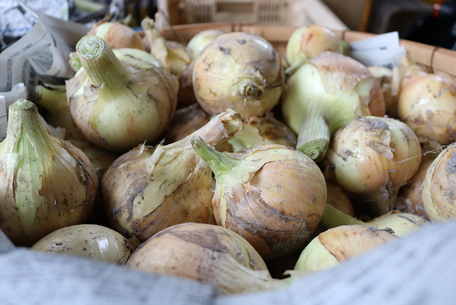 旬真っ盛り！スナップエンドウと新玉ねぎ