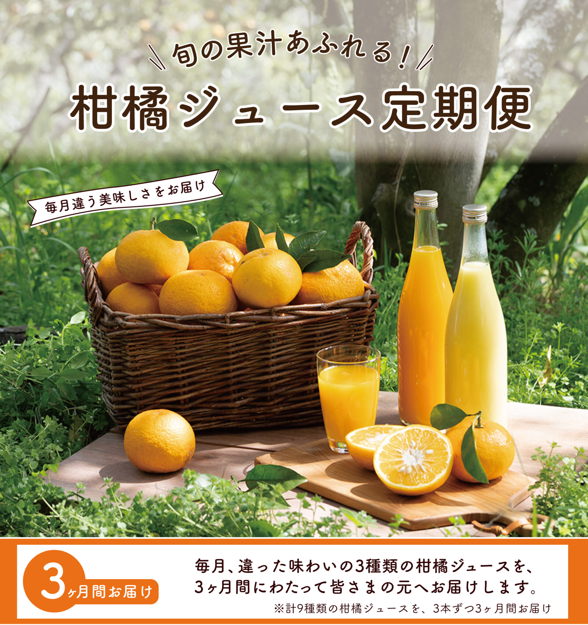 【定期便】ストレートジュース-毎月違った味わいをお届け-